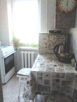 1 bedroom apartment near the metro, Kyiv - apartment by the day