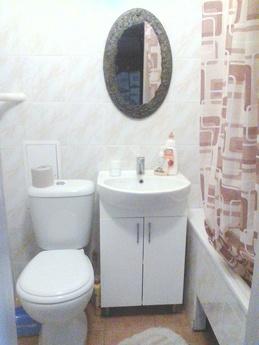 1 bedroom apartment near the metro, Kyiv - apartment by the day