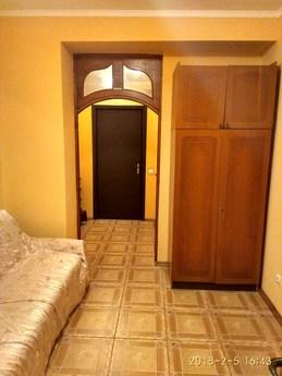 Spacious apartment near the metro, Kyiv - apartment by the day