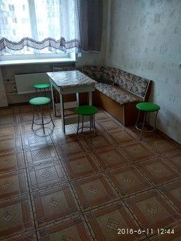 Spacious apartment near the metro, Kyiv - apartment by the day
