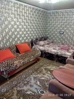 1 bedroom apartment near the metro, Kyiv - apartment by the day