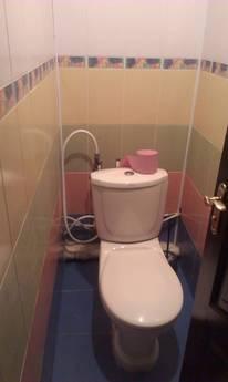 Apartment in the center 1-bedroom apartm, Chernihiv - apartment by the day