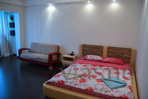A beautiful one-room studio apartment at the Gorky (Antonovi