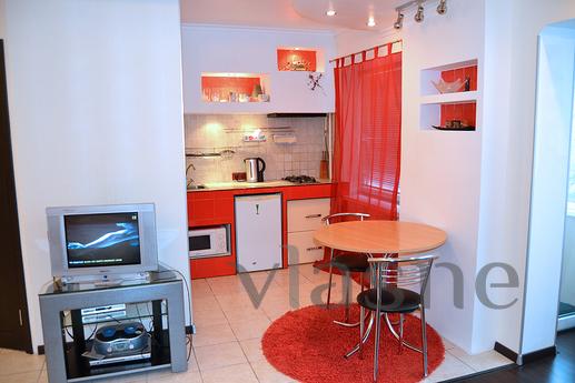 Beautiful studio in the center of Antono, Kyiv - apartment by the day
