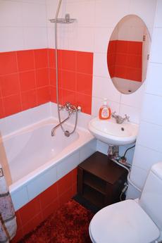 Beautiful studio in the center of Antono, Kyiv - apartment by the day