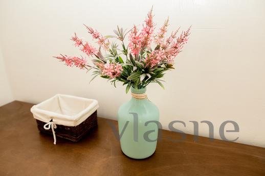 2 bedroom apartment for rent, Lviv - apartment by the day