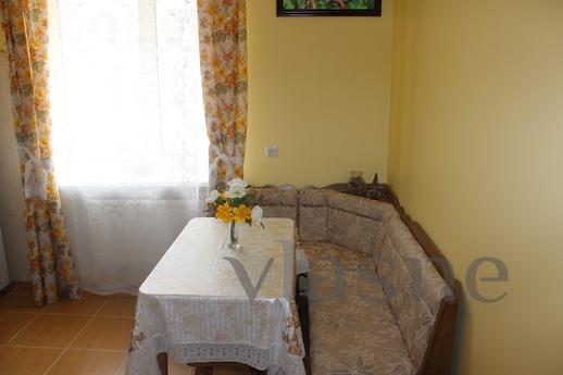 From owner: best 1-bedroom apartment, Odessa - apartment by the day