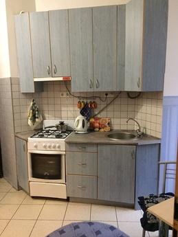 1 bedroom apartment for rent, Lviv - apartment by the day