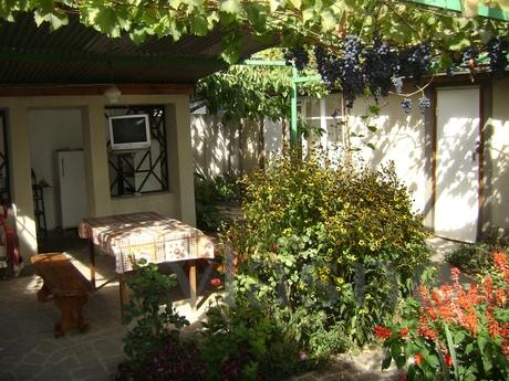 ZANDER. COZY HOUSE FOR TWO PERSONS, Sudak - apartment by the day