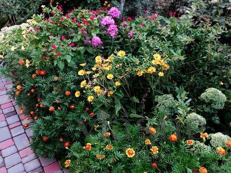 СУДАК. ДВУХКОМНАТНЫЙ ДОМ 8 МИНУТ ДО МОРЯ, Судак - квартира посуточно