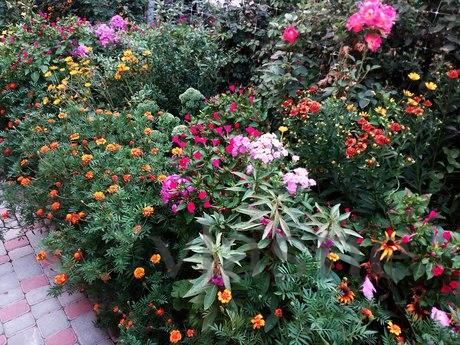 СУДАК. ДВУХКОМНАТНЫЙ ДОМ 8 МИНУТ ДО МОРЯ, Судак - квартира посуточно