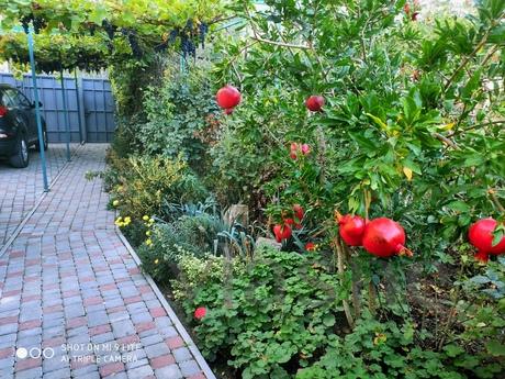 СУДАК. ДВУХКОМНАТНЫЙ ДОМ 8 МИНУТ ДО МОРЯ, Судак - квартира посуточно