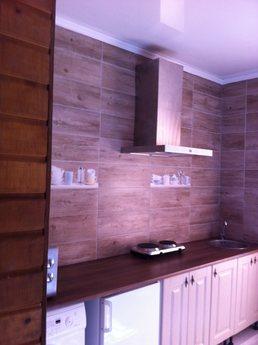 The center of Odessa is a lovely apartme, Odessa - apartment by the day