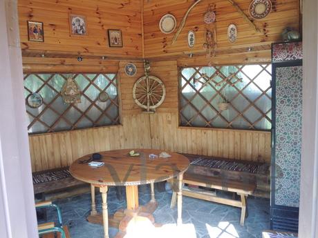 House for holidays and events, Kyiv - apartment by the day