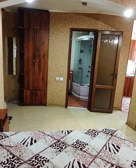 Daily hourly city center Kremenchu, Kremenchuk - apartment by the day