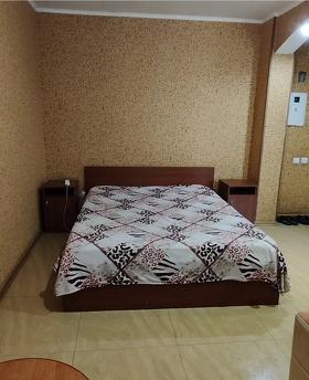 Daily hourly city center Kremenchu, Kremenchuk - apartment by the day