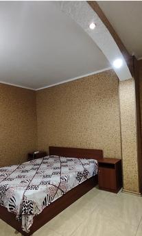 Daily hourly city center Kremenchu, Kremenchuk - apartment by the day