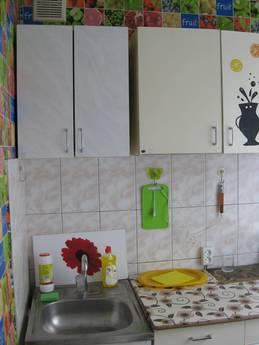 Apartment near the Pobeda metro station., Kharkiv - apartment by the day