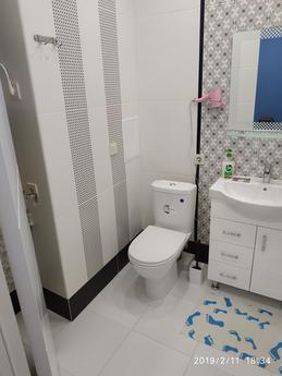 1 to-suite suite in the residential comp, Kyiv - apartment by the day
