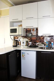Apartment by the sea from Odessa by the, Odessa - apartment by the day