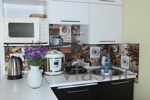 Apartment by the sea from Odessa by the, Odessa - apartment by the day