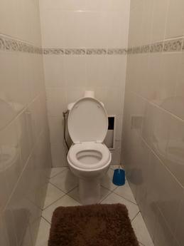 Apartment near the railway station, Kyiv - apartment by the day