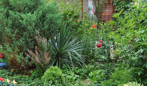 “Shtil” is located in the town of Sudak, a 5-minute walk fro