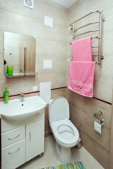 Cozy apartment in the center, Chernihiv - apartment by the day