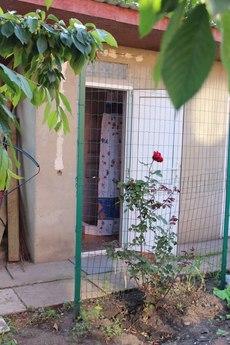 Summer house, SOG Veteran, Chernomorsk, Chernomorsk (Illichivsk) - apartment by the day