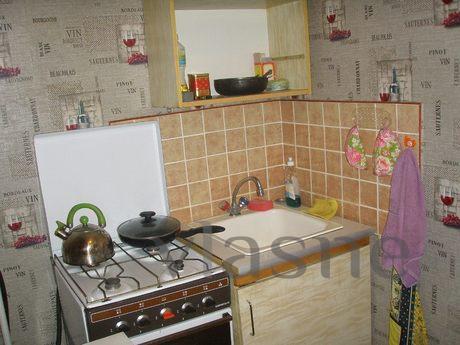 Apartment for rent on Borshchagovka, Kyiv - apartment by the day
