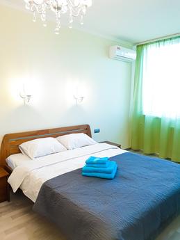 Apartments for connoisseurs of cleanline, Kyiv - apartment by the day