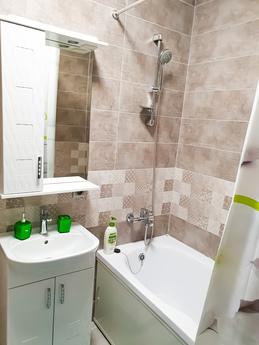 Apartments for connoisseurs of cleanline, Kyiv - apartment by the day