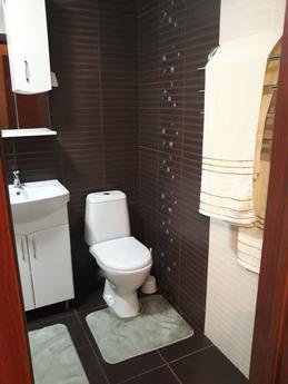 Apartment for rent, and hourly), Chernigov kolichevka - apartment by the day