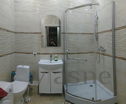 Cozy apartment near metro Levoberezhnaya, Kyiv - apartment by the day