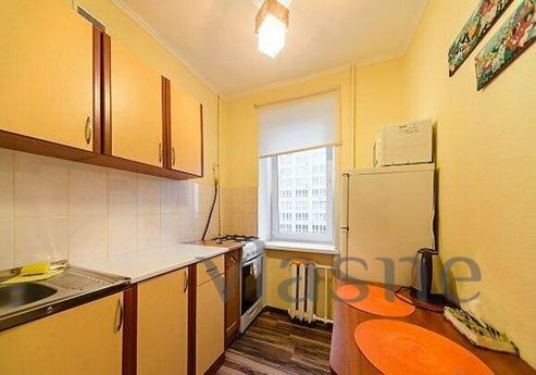 Cozy studio on the Pechersk metro statio, Kyiv - apartment by the day