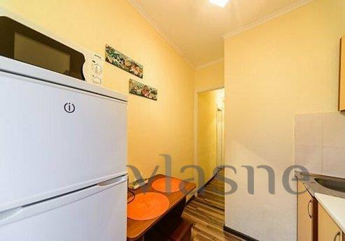 Cozy studio on the Pechersk metro statio, Kyiv - apartment by the day