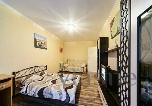Cozy studio on the Pechersk metro statio, Kyiv - apartment by the day