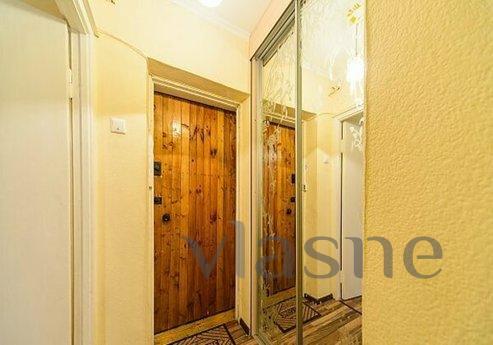Cozy studio on the Pechersk metro statio, Kyiv - apartment by the day