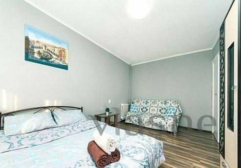 Cozy studio on the Pechersk metro statio, Kyiv - apartment by the day