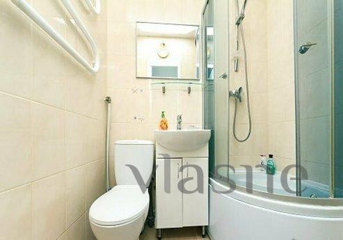 Cozy studio on the Pechersk metro statio, Kyiv - apartment by the day
