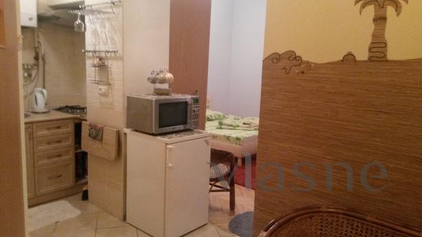 1k. sq. km., Lviv of historic center, Lviv - apartment by the day