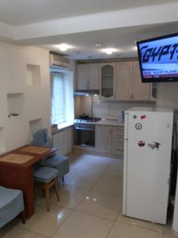 3 bedroom apartment Train Station, Kyiv - apartment by the day