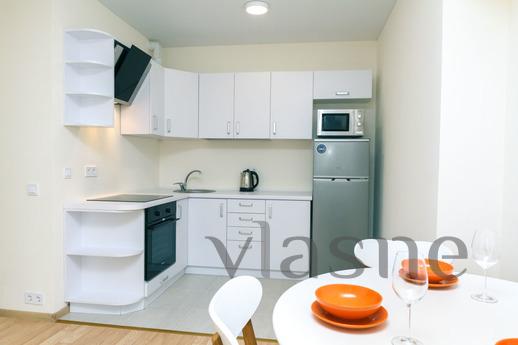 1 bedroom apartment for rent, Kyiv - apartment by the day