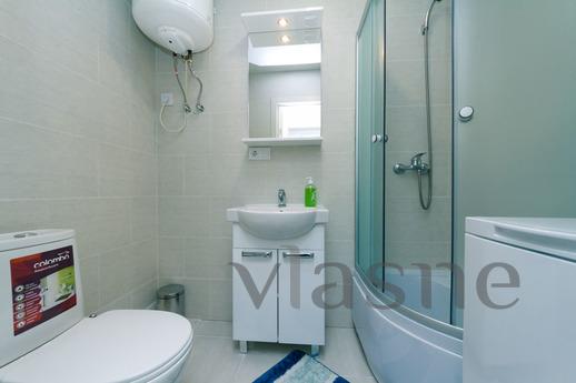 1 bedroom apartment for rent, Kyiv - apartment by the day