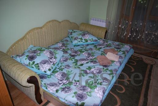 Daily 3-to. Near the town., Uzhhorod - apartment by the day