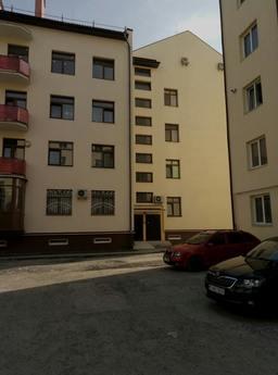 Beautiful 2k. Apartment for daily rent i, Uzhhorod - apartment by the day