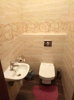Beautiful 2k. Apartment for daily rent i, Uzhhorod - apartment by the day