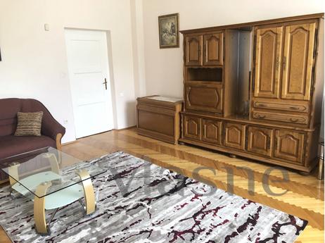 Spacious apartment for rent in Uzhgorod, Uzhhorod - apartment by the day