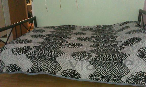 Daily rent a cozy kvatriry per cent, Odessa - apartment by the day