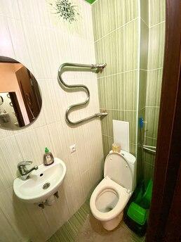 Cozy apartment in the Forest, no commiss, Kyiv - apartment by the day